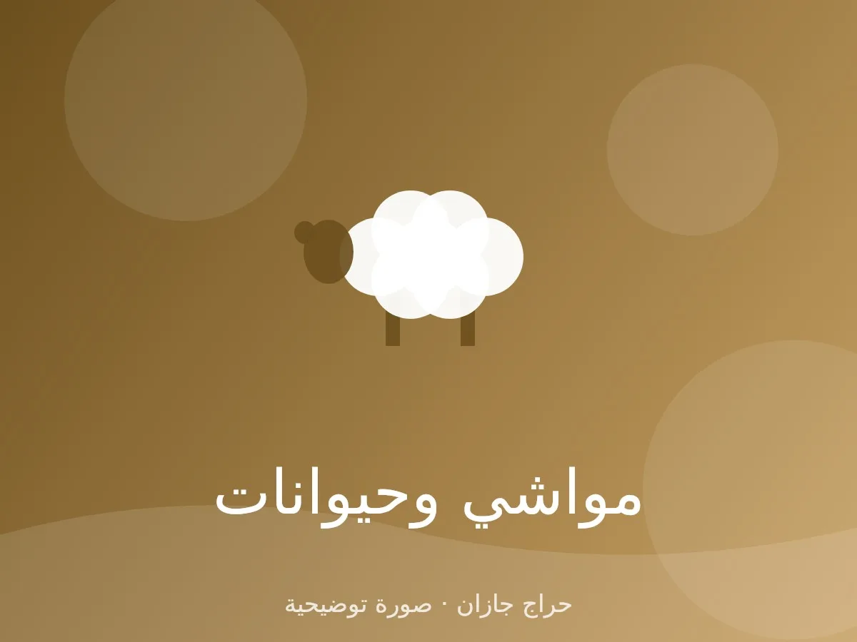 تيوس عارضية للبيع