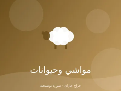 تيوس عارضية للبيع