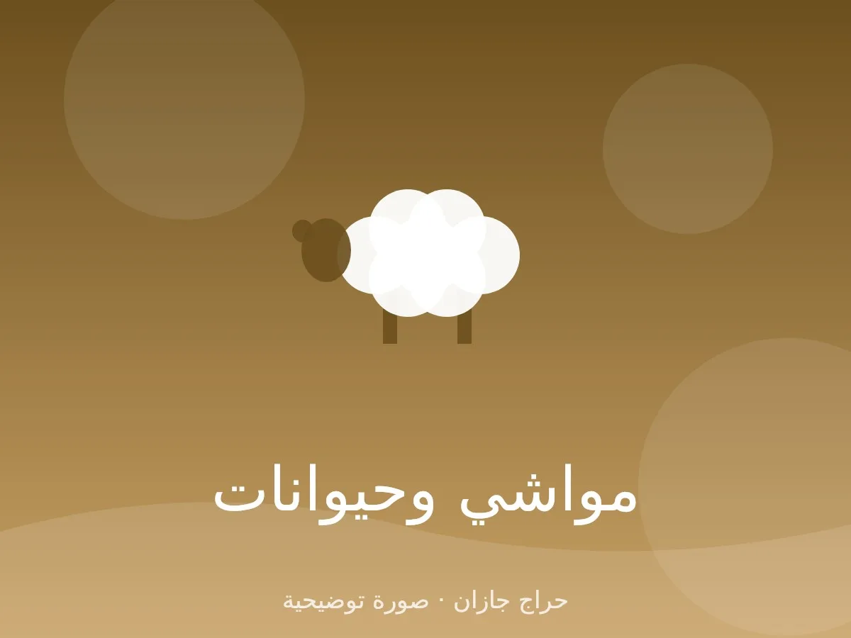 أعلاف برسيم وشعير مع التوصيل داخل جازان