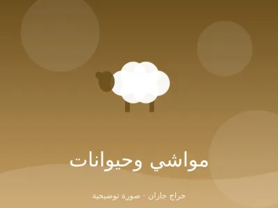 أعلاف برسيم وشعير مع التوصيل داخل جازان