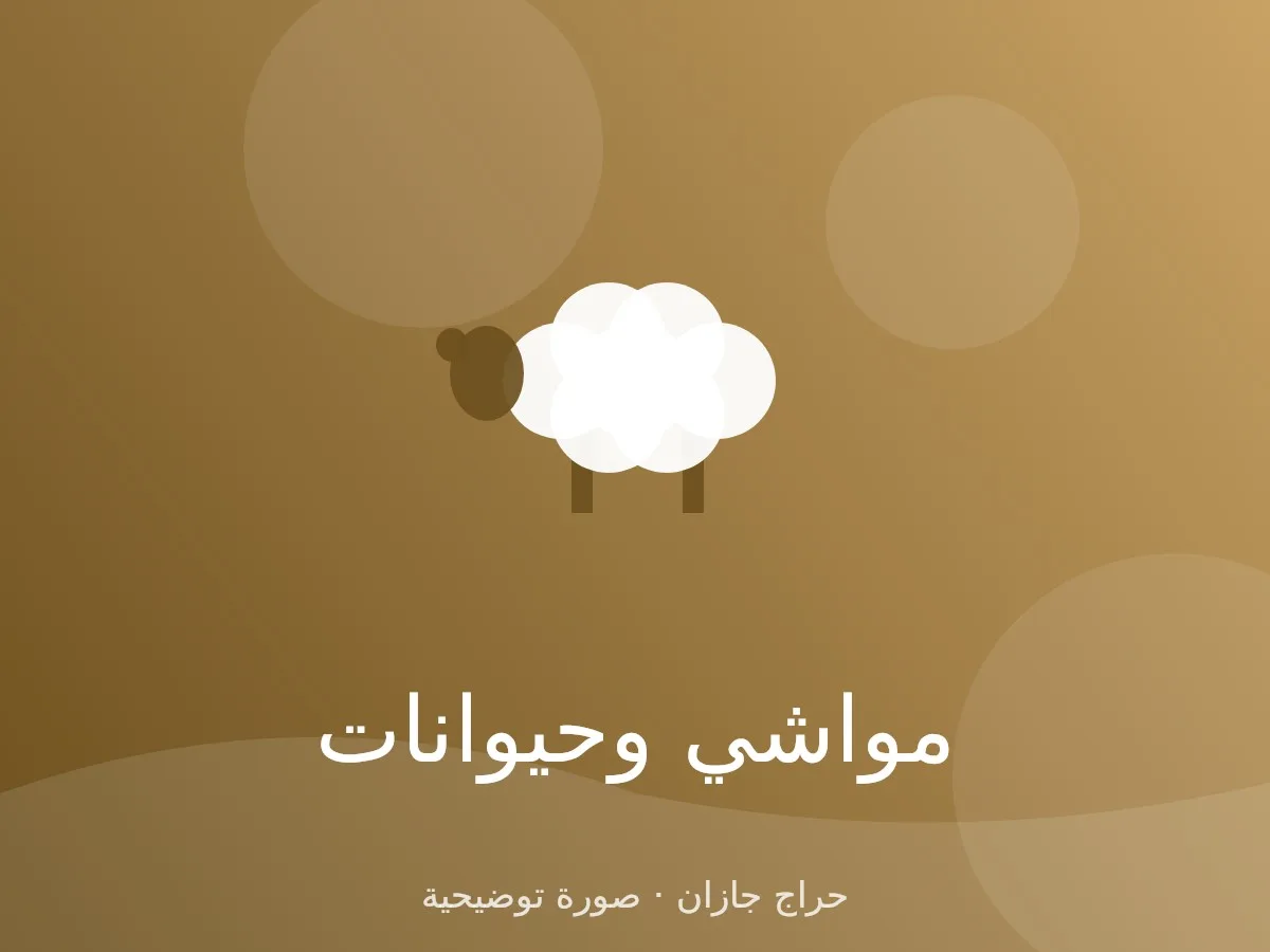 حري طيب للبيع 10 رؤوس جذعان