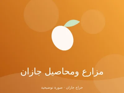 عسل سدر جبلي من فيفاء